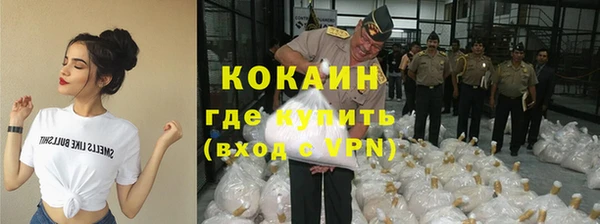 метадон Алексин