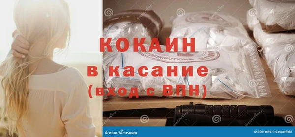гашик Алзамай