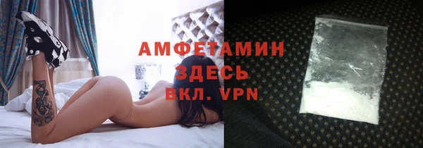 метадон Алексин