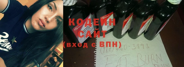 гашик Алзамай