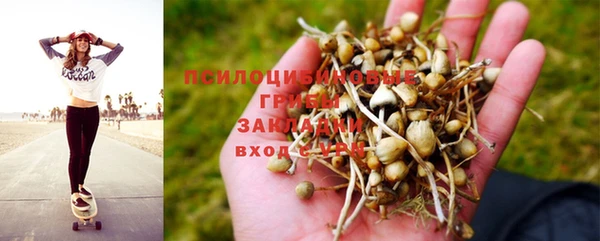 гашик Алзамай